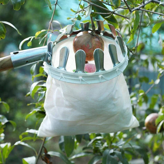 Outil de panier de cueillette de fruits avec un manche de 3,5 m