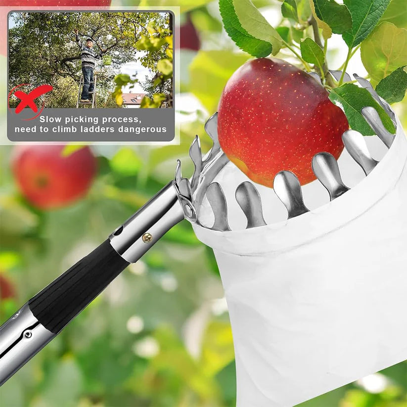 Outil de panier de cueillette de fruits avec un manche de 3,5 m