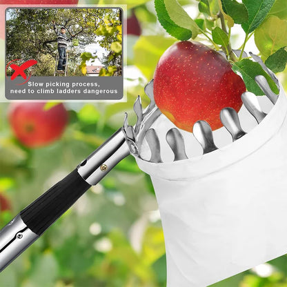 Outil de panier de cueillette de fruits avec un manche de 3,5 m