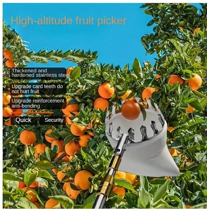 Outil de panier de cueillette de fruits avec un manche de 3,5 m