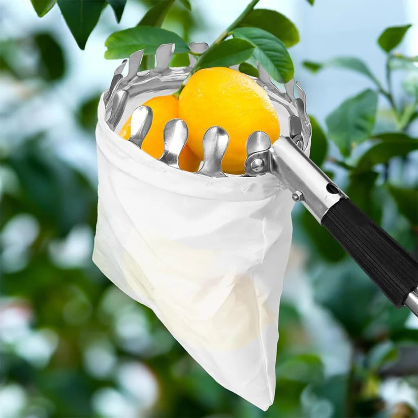 Outil de panier de cueillette de fruits avec un manche de 3,5 m