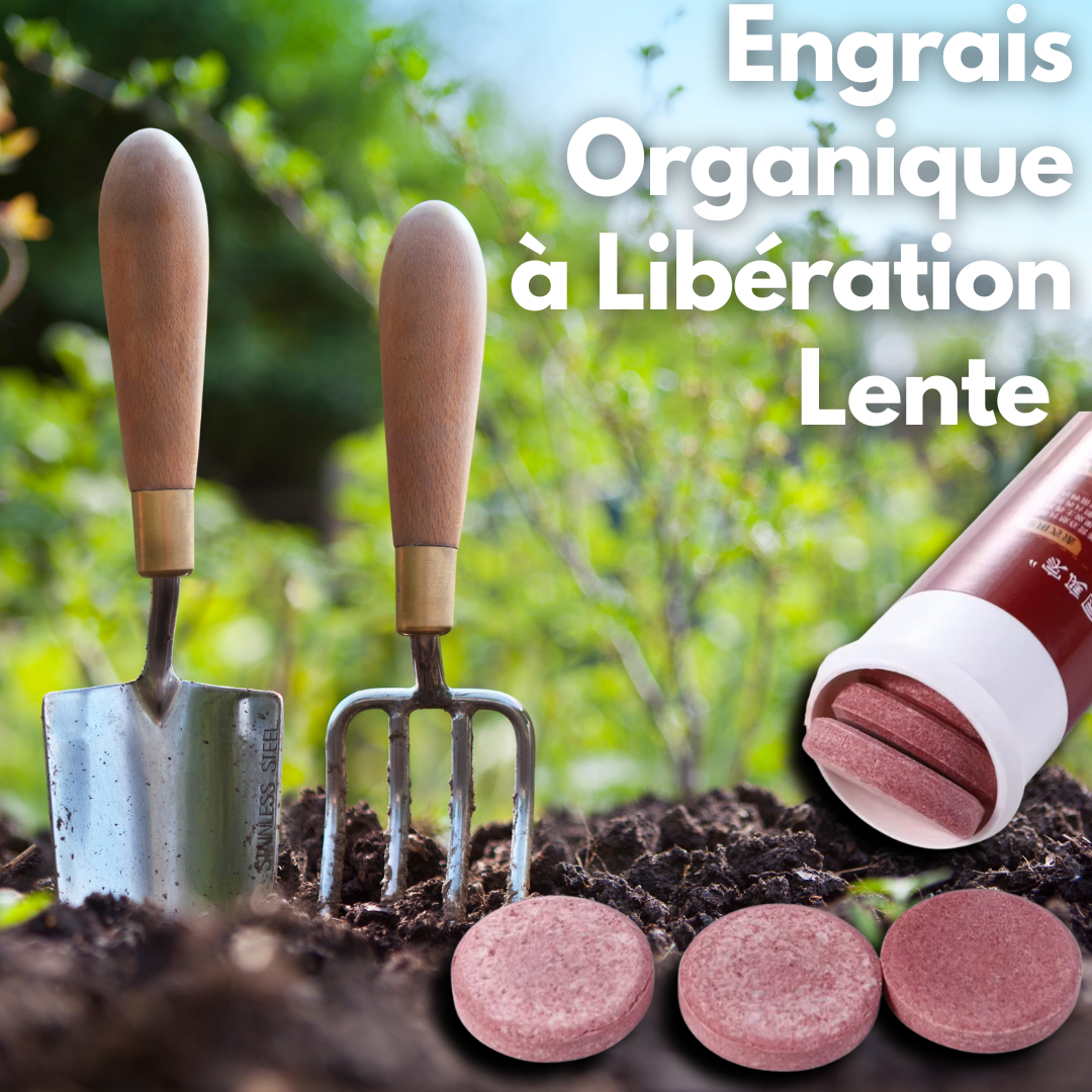 Engrais Organique à Libération Lente – 22 Comprimés par Tube.