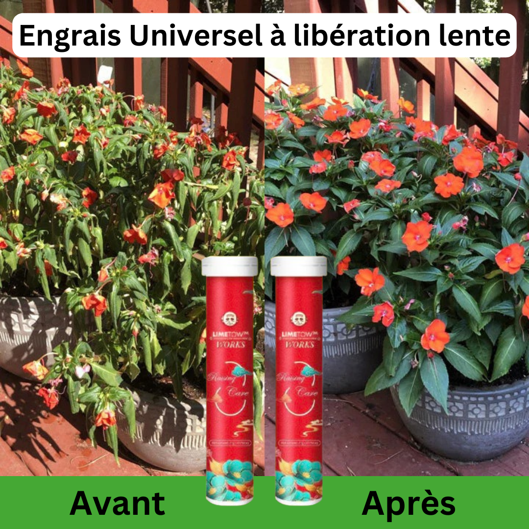 Tablette de fertilisation universelle pour plantes, légumes et fruits....